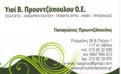 ΑΝΘΗ ΤΕΧΝΗΤΑ ΦΥΤΑ ΑΘΗΝΑ ΠΡΟΥΝΤΖΟΠΟΥΛΟΣ ΠΑΝΑΓΙΩΤΗΣ 